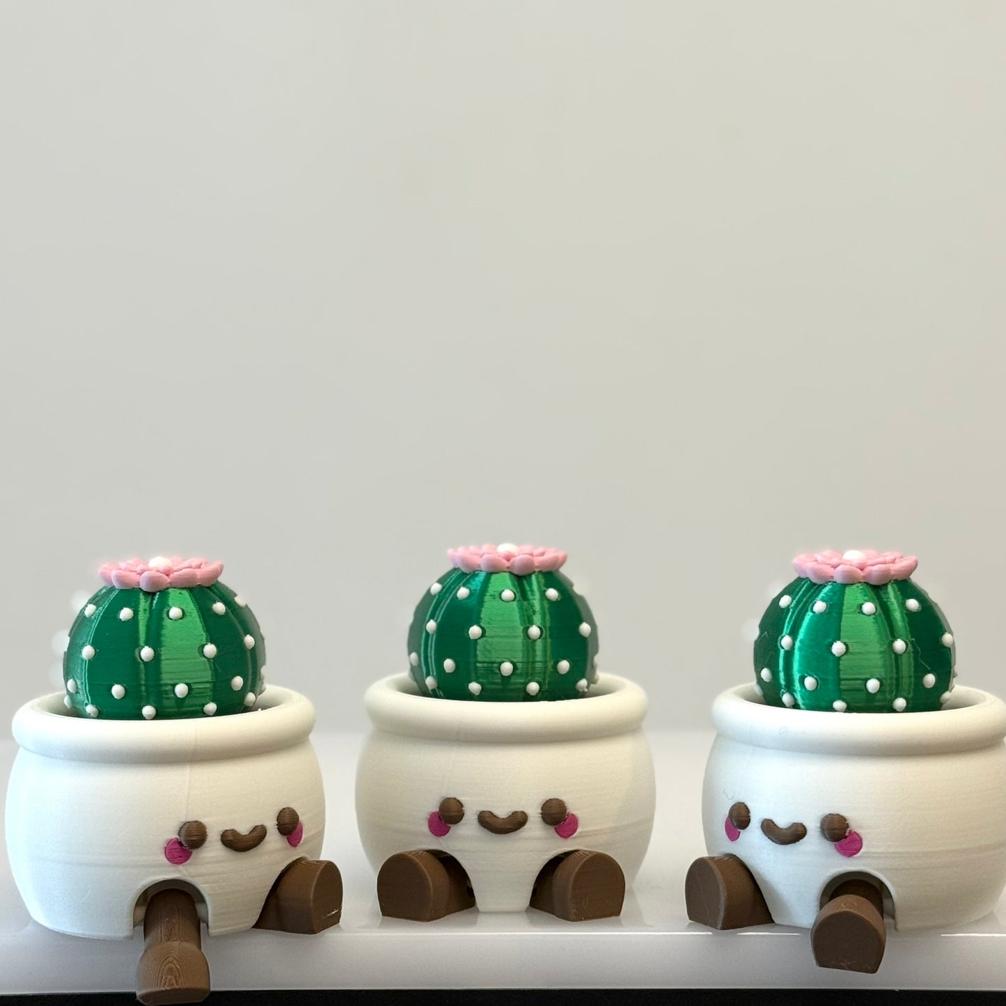 🌵 Smiley Cactus Pot Toy