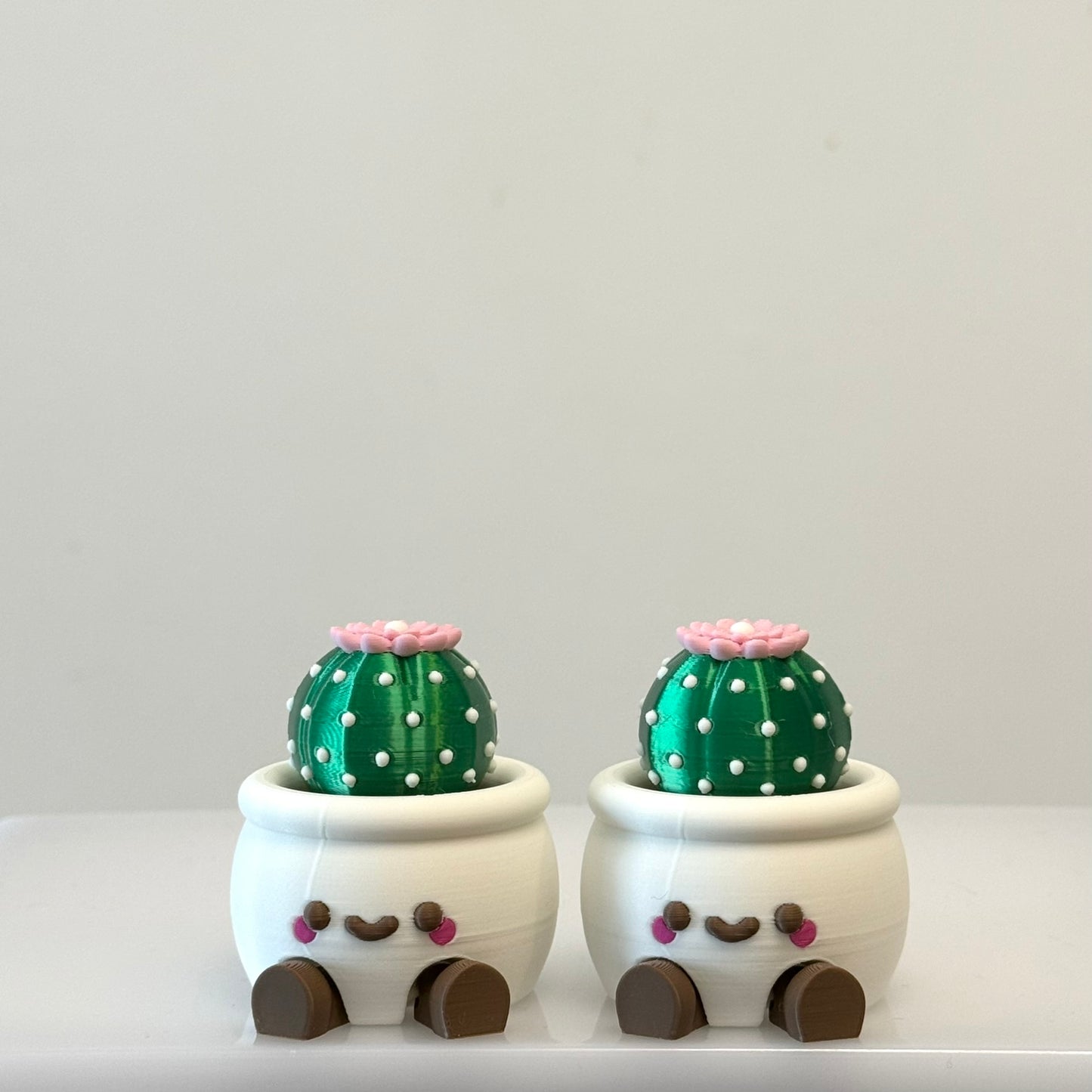 🌵 Smiley Cactus Pot Toy