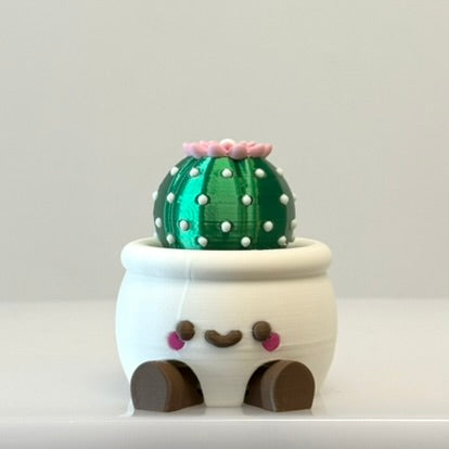 🌵 Smiley Cactus Pot Toy